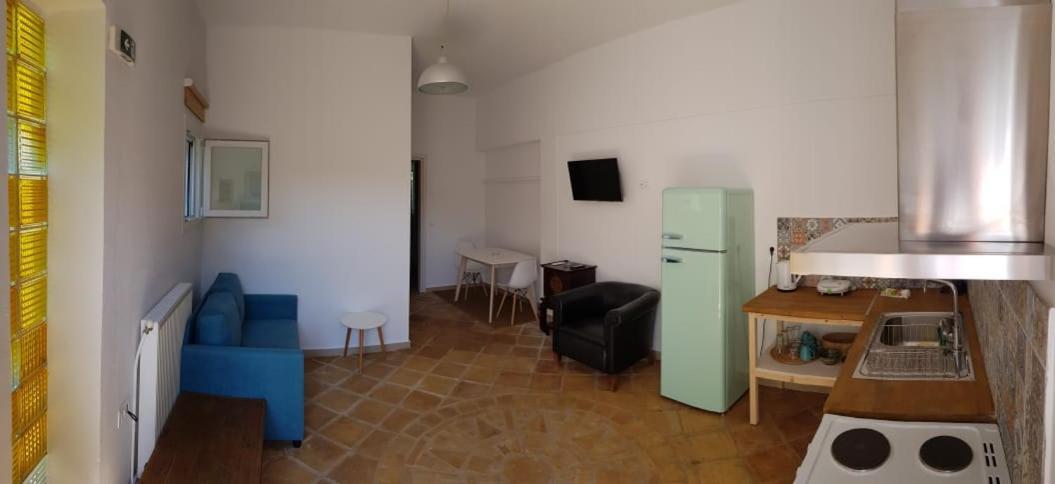 Anemona Apartments And Studios Vasilikos  Bagian luar foto