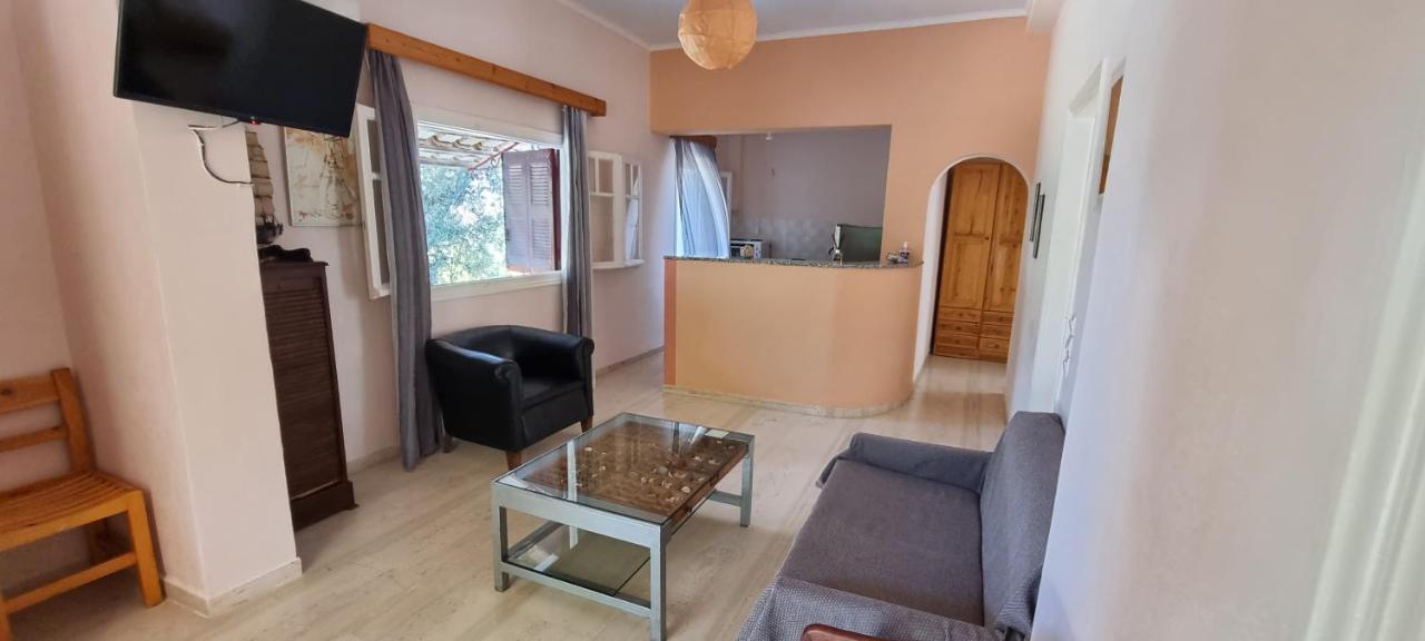 Anemona Apartments And Studios Vasilikos  Bagian luar foto