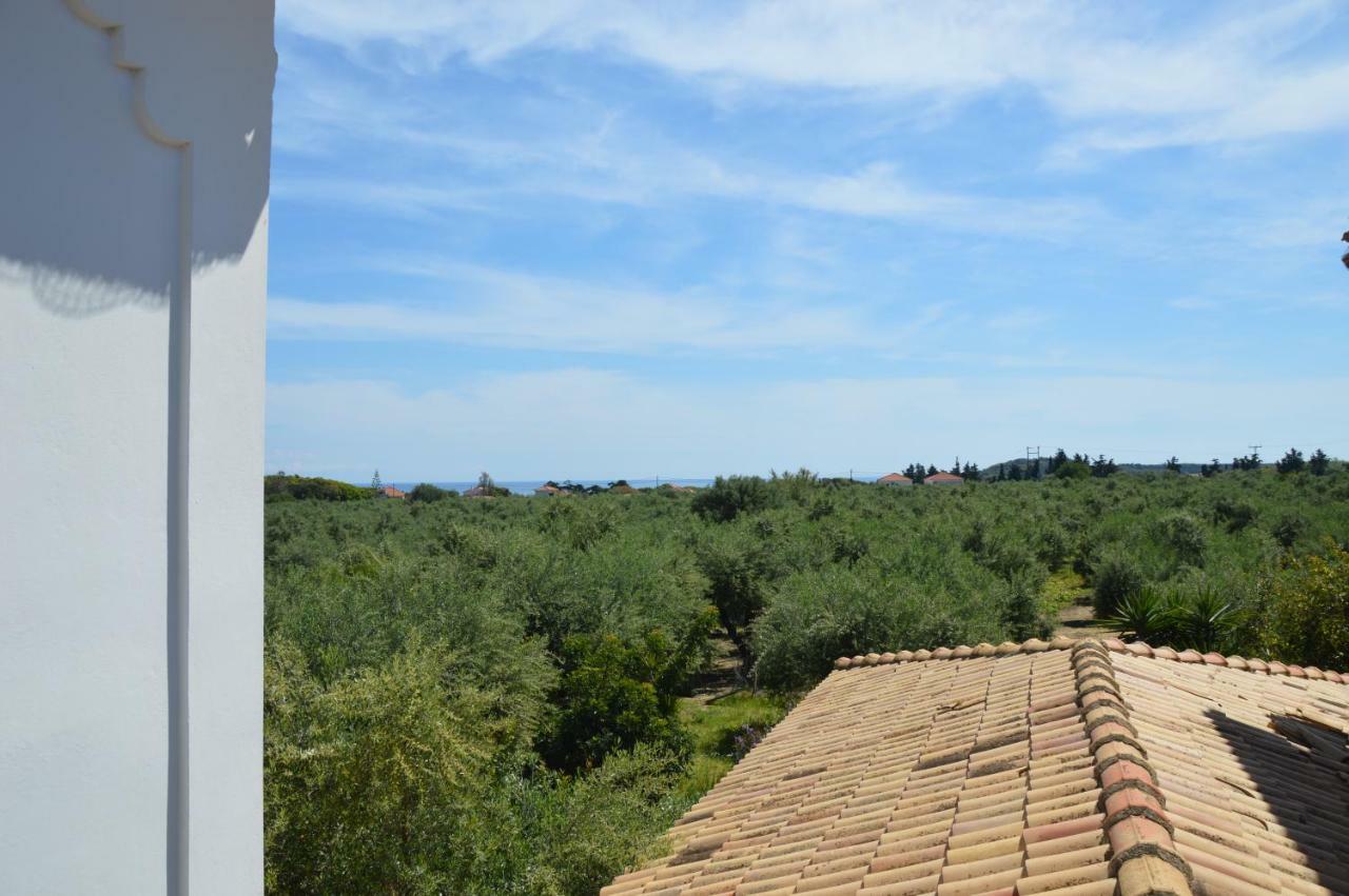 Anemona Apartments And Studios Vasilikos  Bagian luar foto