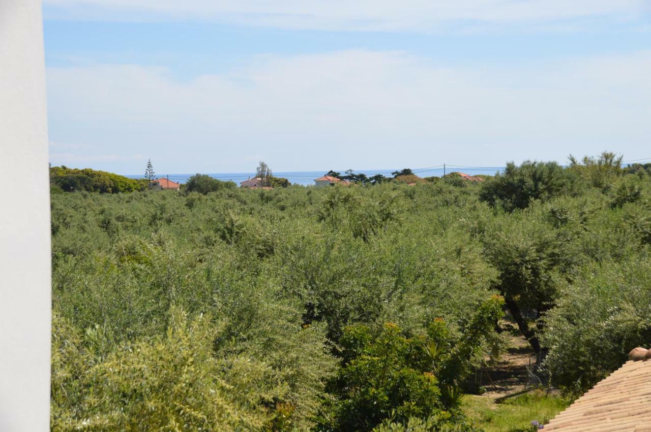 Anemona Apartments And Studios Vasilikos  Bagian luar foto