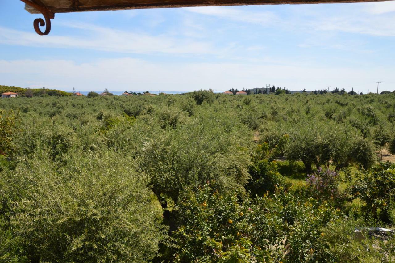 Anemona Apartments And Studios Vasilikos  Bagian luar foto