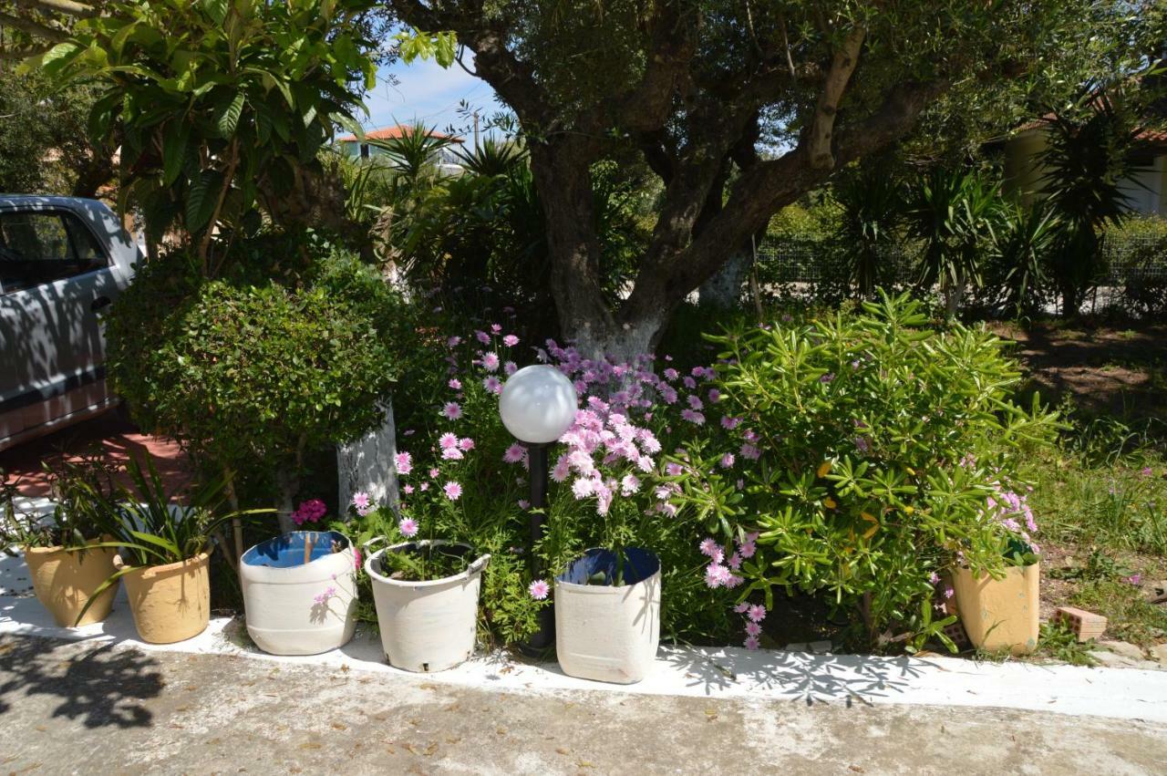 Anemona Apartments And Studios Vasilikos  Bagian luar foto